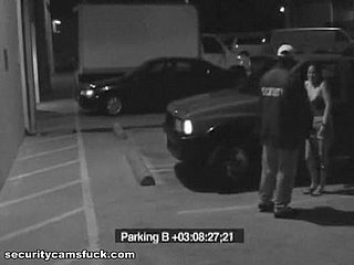 Parking Lot Impersonate Caught Overwrought A Security Camera